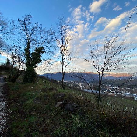 Casa Piganò Apartamento Appiano Sulla Strada Del Vino Exterior foto