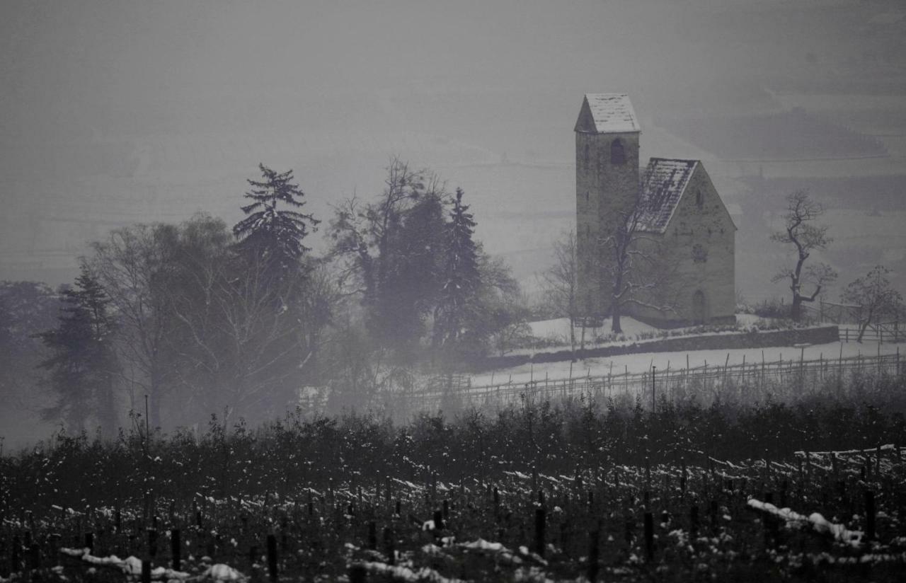 Casa Piganò Apartamento Appiano Sulla Strada Del Vino Exterior foto